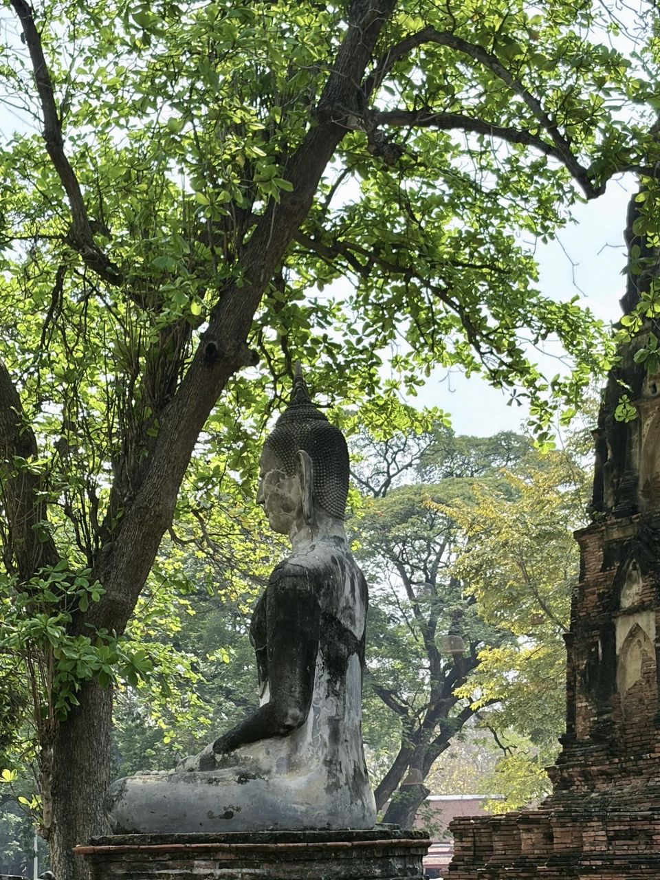 วัดมหาธาตุวชิรมงคล